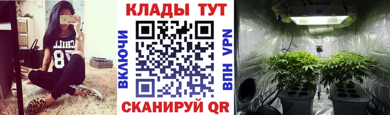 Наркота Вязники КОКАИН  А ПВП  Меф мяу мяу  ГАШИШ  Бошки Шишки 