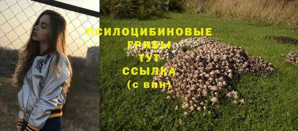 кокаин перу Богородицк