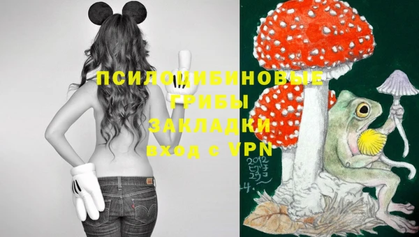 кокаин перу Богданович