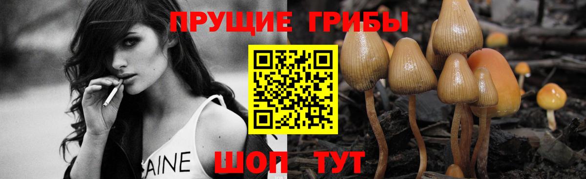 Галлюциногенные грибы GOLDEN TEACHER  Вход с VPN  Вязники 