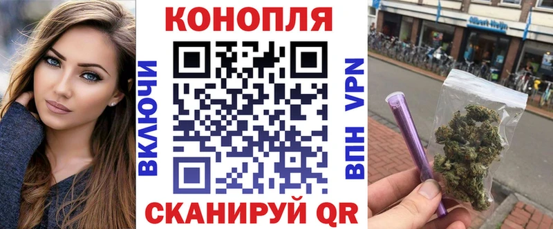 как найти Вязники Бошки Шишки SATIVA & INDICA